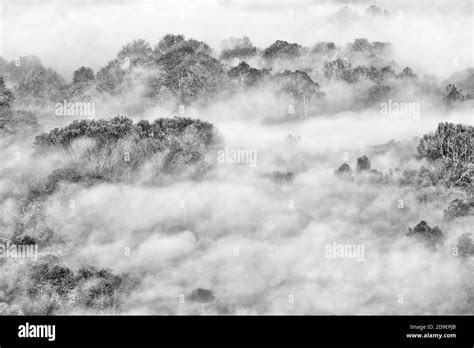 Autumn landscape with fog, black and white photography Stock Photo - Alamy