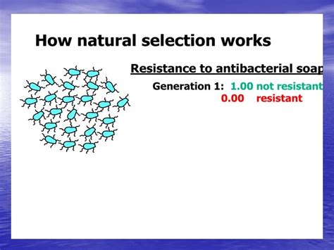 EVOLUTION SPECIATION VOCABULARY REVIEW EVOLUTION CHANGE OVER TIME