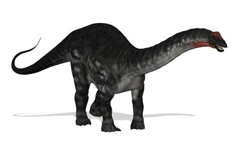 Apatosaurus | Dinopedia | Fandom