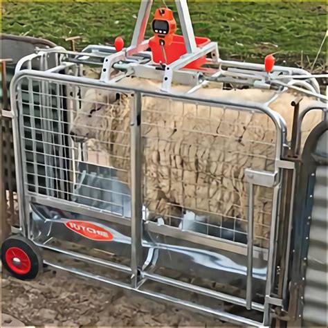 Sheep Scales for sale in UK | 67 used Sheep Scales