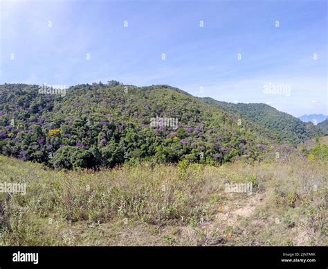 View of the trail between the neighborhoods of jacarepagua and Big Field in rio de janeiro Stock ...