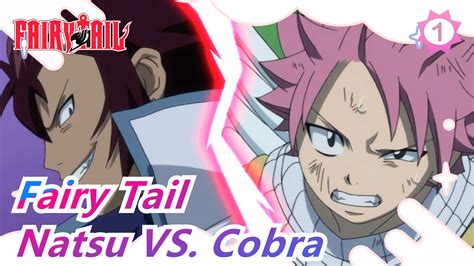 Fairy Tail Natsu Vs Cobra