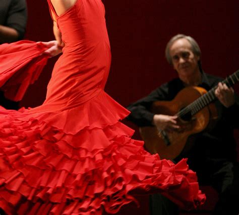 Flamenco Wallpapers - Wallpaper Cave