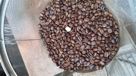 White Coffee Beans Wholesale / Wholesale Coffee Beans Ireland | Buy ...