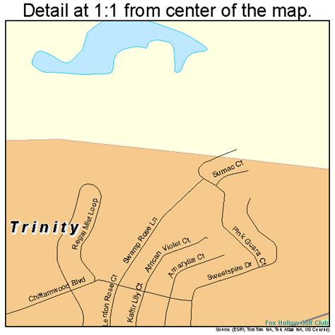 Trinity Florida Street Map 1272442