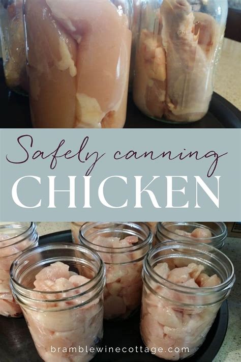 Chicken Canning Basics ~ An Easy Guide - Bramble Wine Cottage