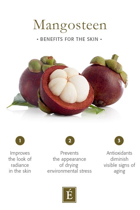 What Are The Skin & Health Benefits Of Mangosteen? | Eminence Organic ...