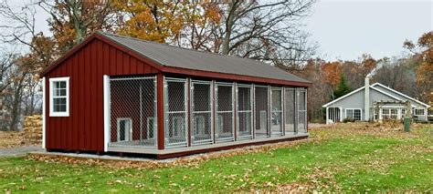 Insulated Dog Kennel Interior | Dog Kennel Design Photos