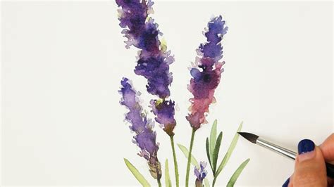 Lavender Watercolor Painting | liewmeileng