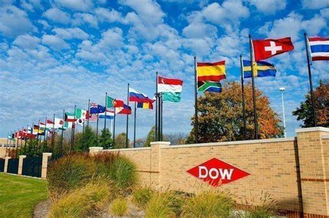 Dow Chemical seeks to triple Africa revenue in five years - Businessday NG