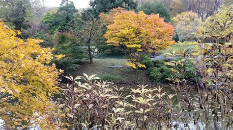 Visiting Brookside Garden,. Nov. 1, 2018 | by Sunil K Freeman | Nov ...