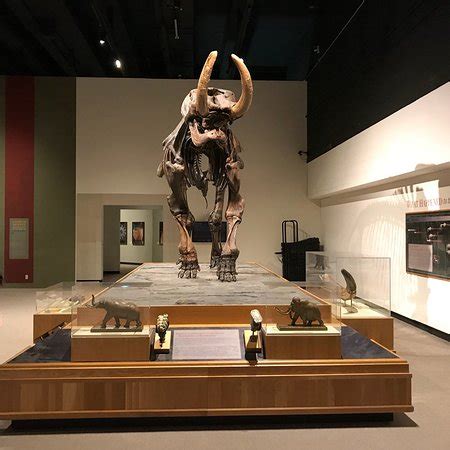 New York State Museum (Albany) - All You Need to Know Before You Go (with Photos) - TripAdvisor