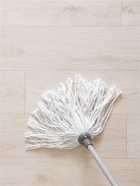 11 Types of Mops (and When to Use Them) - Farmhouse Guide