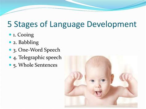 PPT - Development Across the Life Span PowerPoint Presentation, free download - ID:3088182