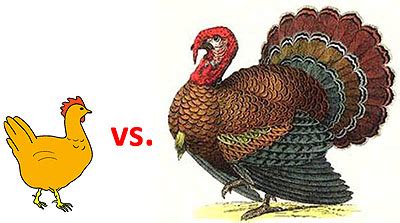 Chicken vs. Turkey Is an Unfair Fight – Mother Jones