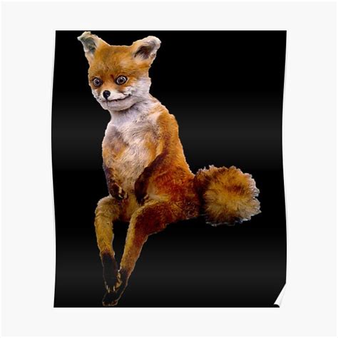 "Stoned fox the Taxidermy Fox Meme " Poster for Sale by Lar2ok | Redbubble