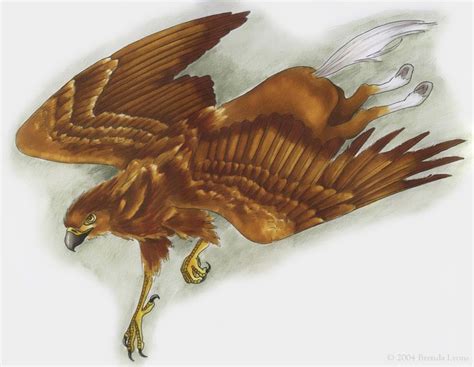 Golden Hippogryph | Mythical creatures, Art, Golden