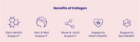 he Ultimate Guide to Biotin Collagen Supplements in 2024