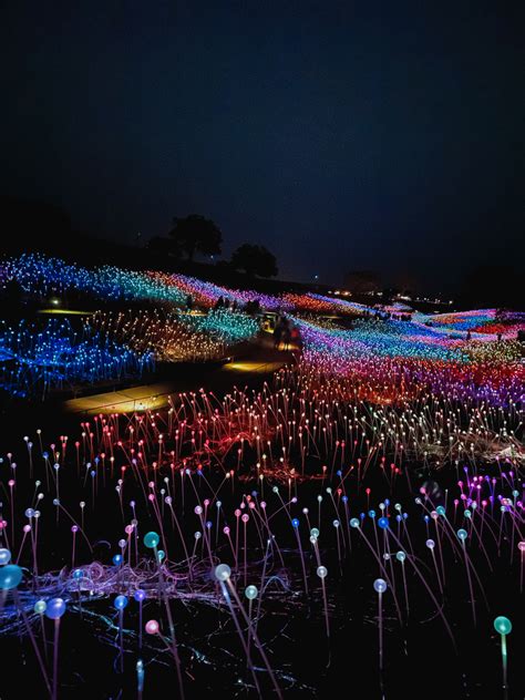 Field of Lights Paso Robles - California