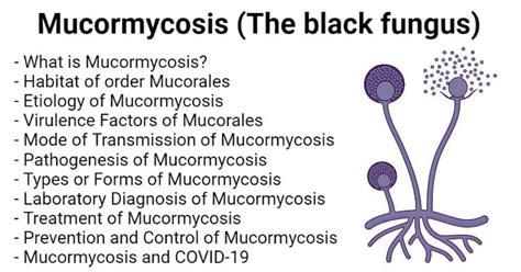 Mucormycosis (The black fungus)- An Overview