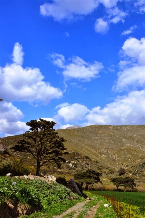 Nomadish: Hiking in gorgeous Preveli gorge