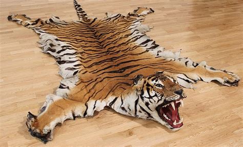 Lot - A Bengal tiger rug complete with head