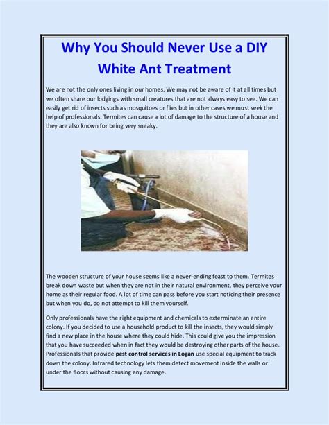 Why you should never use a diy white ant treatment