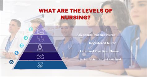 Levels of Nursing: Ultimate Guide to the Nursing Career Ladder | Dreambound Blog