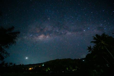 Starry sky over palm tree and mountain silhouettes at night · Free Stock Photo