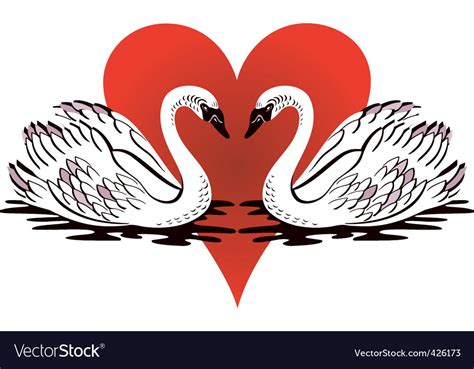 Love swans Royalty Free Vector Image - VectorStock