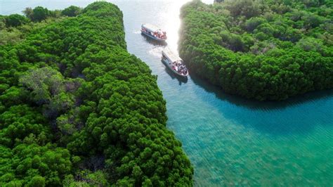 The beauty of the Farasan Islands explored in 2024 | Island, Philippines travel, Explore