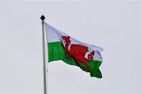 298 Red Dragon Welsh Flag Stock Photos - Free & Royalty-Free Stock Photos from Dreamstime