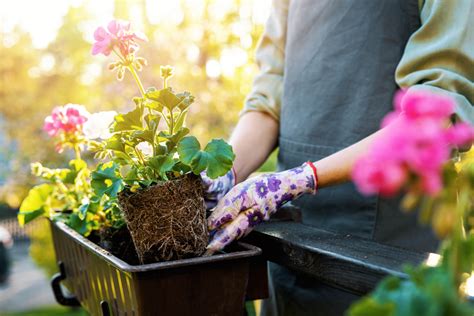 The 24 Best Condo Balcony Plants To Liven Up Your Space