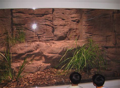 Aquarium/Reptile Pictures | Universal Rocks