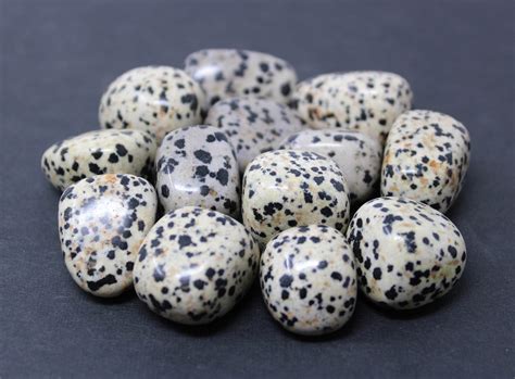 Dalmatian Jasper Tumbled Stones: Choose How Many Pieces ('A' Grade, Tumbled Dalmatian Jasper ...