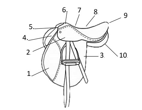 english saddle parts | HORSE COURSES ONLINE