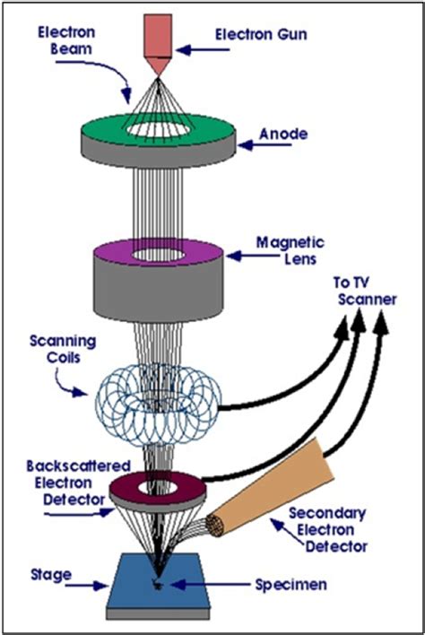 Figure 1 from Applications of Electron Beam Lithography (EBL) in ...