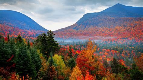 White Mountain National Forest, New Hampshire Herbst | Autumn foliage fall in White M… | White ...