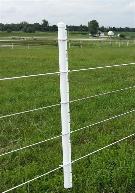 PolyPlus Non-Electric 1320 ft | Horse Fence Direct Store | Horse fencing, Modern fence, Backyard ...