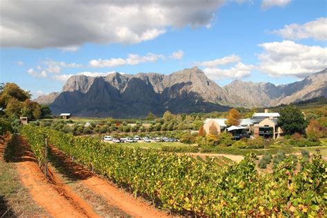 Stellenbosch Wine Farms - the Ultimate Wine Tasting Guide. - STINGY NOMADS