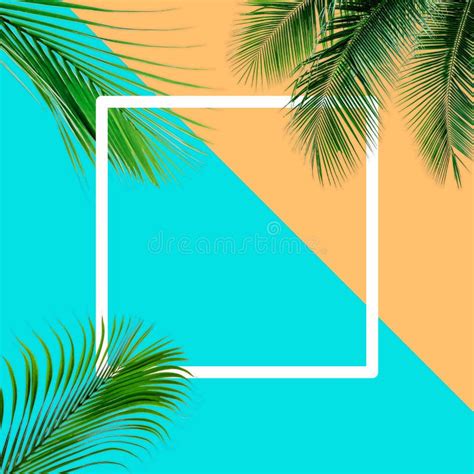 Green Palm Leaves Pattern for Nature Concept,tropical Leaf on Orange and Teal Paper Background ...