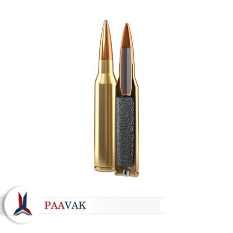 Cal.8.6 x 70 mm ball (.338 Lapua) 250 GR » Paavak पावक