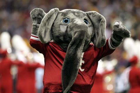 The story behind Alabama’s elephant mascot | Dr. Saturday - Yahoo Sports