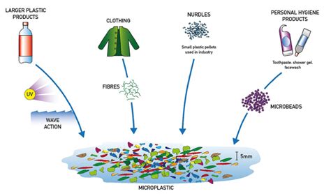 Highlight: Emerging Contaminants: Microplastics | State of the River Report for the Lower St ...