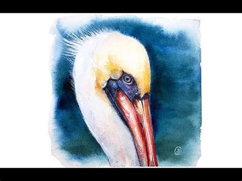 Watercolor Pelican Painting Tutorial - YouTube