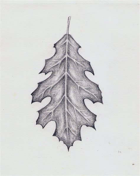 Oak Leaf Tattoo - Printable Kids Entertainment