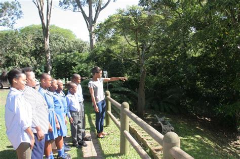 Nature reserve branches out to more schools | South Coast Sun