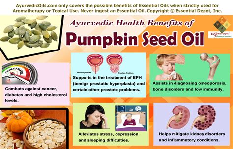 Ayurvedic health benefits of Pumpkin seed oil | Essential Oil