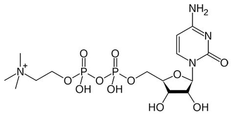 CDP-Choline vs Alpha-GPC: Is Citicoline better than Alpha-GPC? What's the difference? | VAGA