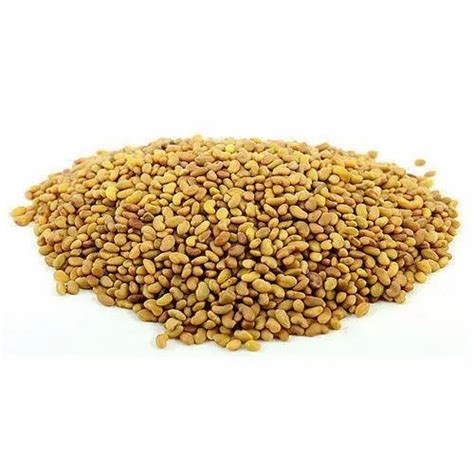 Ashwagandha Seeds - Ashwagandha Plant Seeds Latest Price, Manufacturers & Suppliers